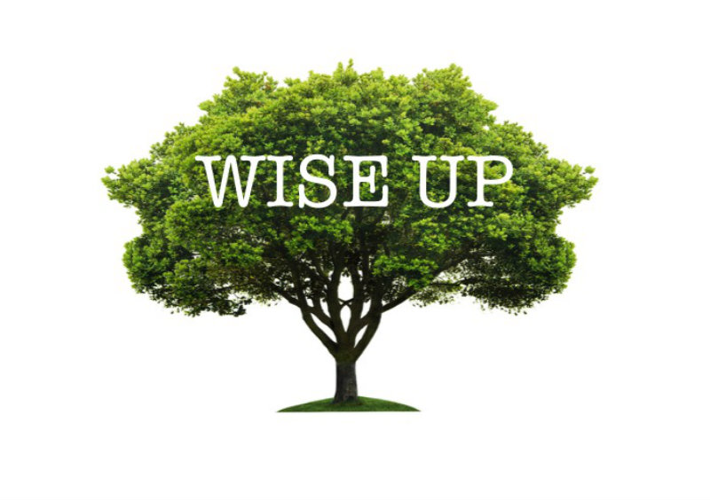 Wise Up – part 1 episode artwork