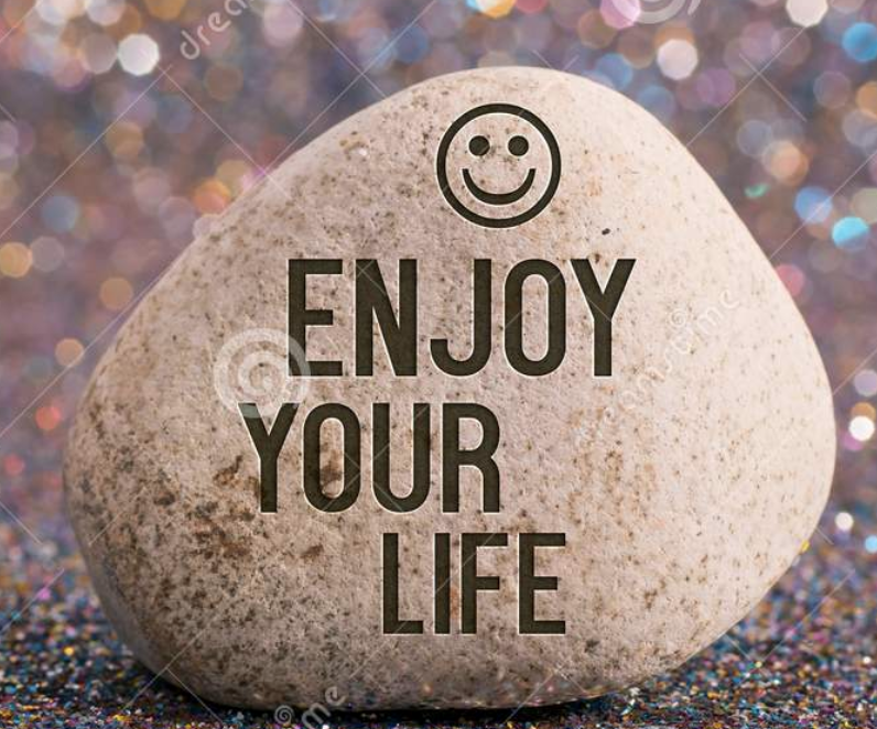 Enjoy Your Life – Pt 7 episode artwork